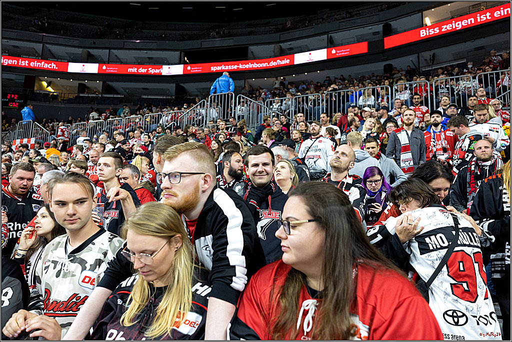 PENNY DEL;  Kölner Haie - Grizzly Wolfsburg; Köln, 21.09.2022